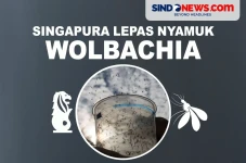 Perangi Demam Berdarah,...