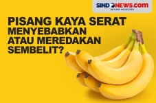 Pisang Kaya Serat, Menyebabkan...