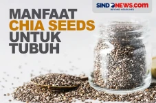 Kaya Nutrisi, Berikut...
