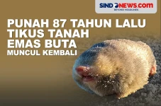 Punah 87 Tahun Lalu,...