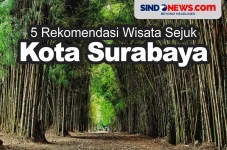 5 Rekomendasi Tempat...