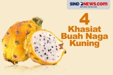 4 Khasiat Buah Naga...