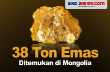 38 Ton Emas Ditemukan...
