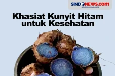 Khasiat Kunyit Hitam,...
