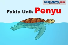 Fakta-Fakta Menarik...