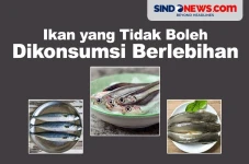 6 Jenis Ikan yang Tidak...