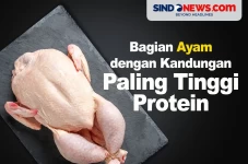 Bagian Ayam dengan Kandungan...