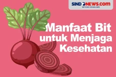 Kaya Antioksidan, Berikut...
