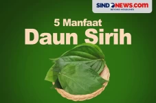 5 Manfaat Daun Sirih,...