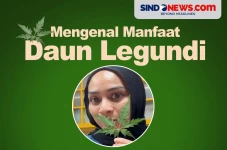 Bisa Atasi Batuk, Berikut...