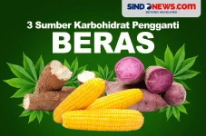 3 Sumber Karbohidrat...