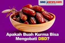 Apakah Buah Kurma Bisa...