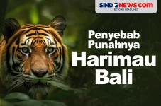 Penyebab Punahnya Harimau...