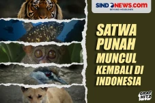 Satwa-satwa yang Dianggap...
