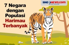 Ada Indonesia, Berikut...