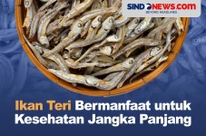 Ikan Teri Bermanfaat...