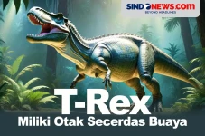 Riset Buktikan Otak...