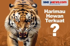 Apakah Ada Binatang...