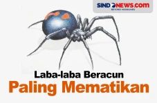 Bisa Membunuh Manusia,...