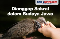 Hewan yang Dianggap...