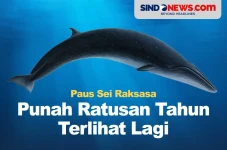 Dianggap Punah Ratusan...