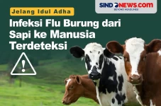 Jelang Idul Adha, Infeksi...