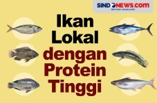 7 Ikan Lokal Proteinnya...