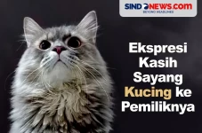 Ekspresi Kasih Sayang...