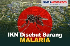 Media Asing Sebut IKN...