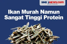 7 Jenis Ikan dengan...