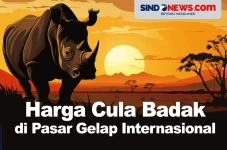 Harga Cula Badak di...