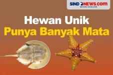 Ada yang sampai 10 Ribu,...