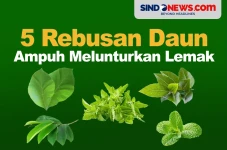 5 Rebusan Daun yang...