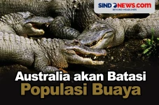 Mengancam Manusia, Populasi...