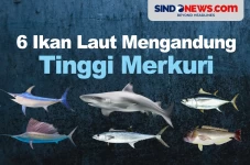 Waspada, Berikut 6 Ikan...