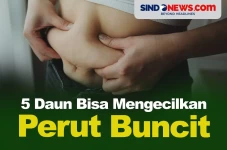 5 Jenis Daun yang Paling...