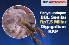Penyelundupan Benih...