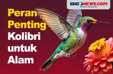 Bantu Ekosistem Lingkungan,...