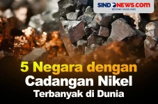 5 Negara Pemilik Cadangan...