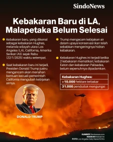 Kebakaran Baru di Los...