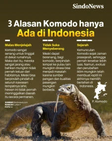 3 Alasan Komodo hanya...