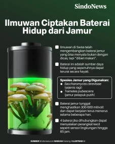 Ilmuwan Swiss Berhasil...