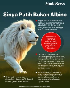 Ini Penjelasan Warna...