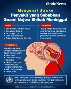 Mengenal Stroke, Penyebab...