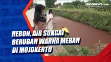 Heboh, Air Sungai Berubah...