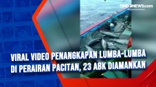 Viral Video Penangkapan...