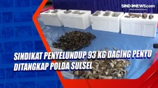 Sindikat Penyelundup...