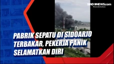 Pabrik Sepatu di Sidoarjo...