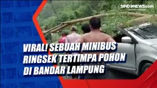 Viral! Sebuah Minibus...