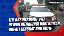 Tim BKSDA Sumut Sita...